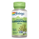 SOLAרי Bladderwrack קפסולות 580 מ"ג - תוספי ים מאומצנים, גבוה ב Iodine - Balanced Herbal Support - טבעוני, non-GMO, 60 יום ערבות, מעבדה מאומת - 100 משרתים, 100 VegCaps, 100 VegCaps