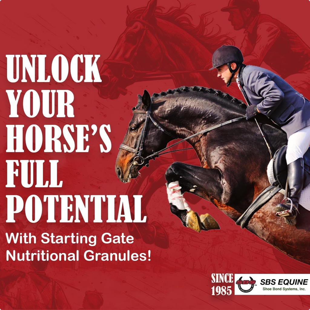 SBS Equine Start Gate Granules - סוס Stomach Ulcer Treatment & Ulcer הקלה, תוספת סוס פורמולה סקוטפ עבור להאכיל, פרפ מושלם כמו התוסף Hoof (5 Gallon)