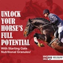 SBS Equine Start Gate Granules - סוס Stomach Ulcer Treatment & Ulcer הקלה, תוספת סוס פורמולה סקוטפ עבור להאכיל, פרפ מושלם כמו התוסף Hoof (5 Gallon)