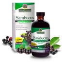 תשובתו של הטבע Sambucus Elder ברי לחלץ סירופ 8 Ounce ( 3 Pack) | Daily Immune Support; ארוז עם אנטי-oxidants