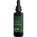 Global Healing Center - אורגני Tulsi (Holy Beck Extracts) תוספי נוזל טבעוני טיפות (אורגני בזיל) - Bioavailable Herb for Normal Stress Response, Natural Energy & Immune Support