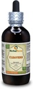קלאס (Galium Aparine) Tincture, אורגני Dried Over-Ground Parts Extraction (שםBrand: HerbalTerra, Proly Made in USA) 4 fl.oz (120 מ"ל)