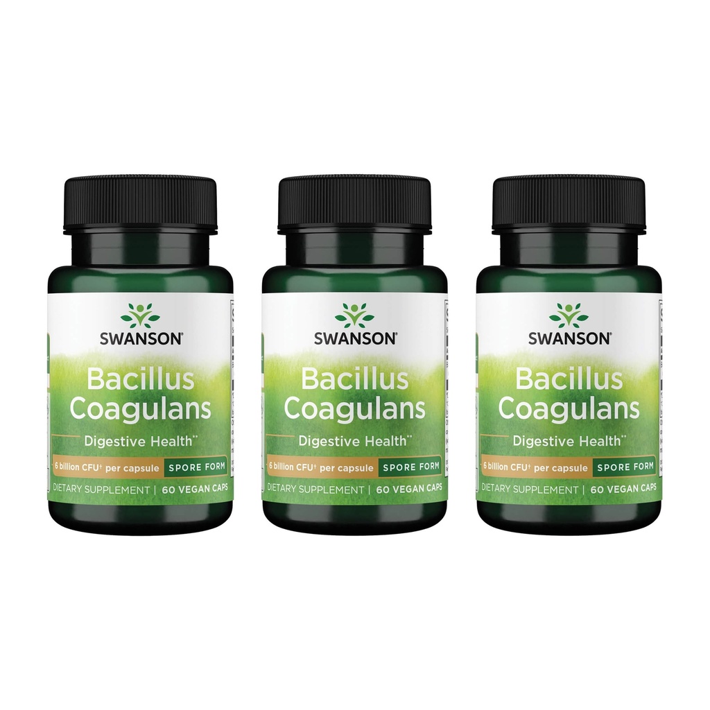 Swanson Bacillus Coagulans - תוספת טבעית פרוביוטית התומכים בבריאות העיכול W / 6 מיליארד CFU - May Support GI & Total Gut Health - (60 קפסולות Veggie) 3 Pack