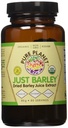 Pure Planet Just Barley אורגני אבקה - 80 משרתים, 2 חבילות