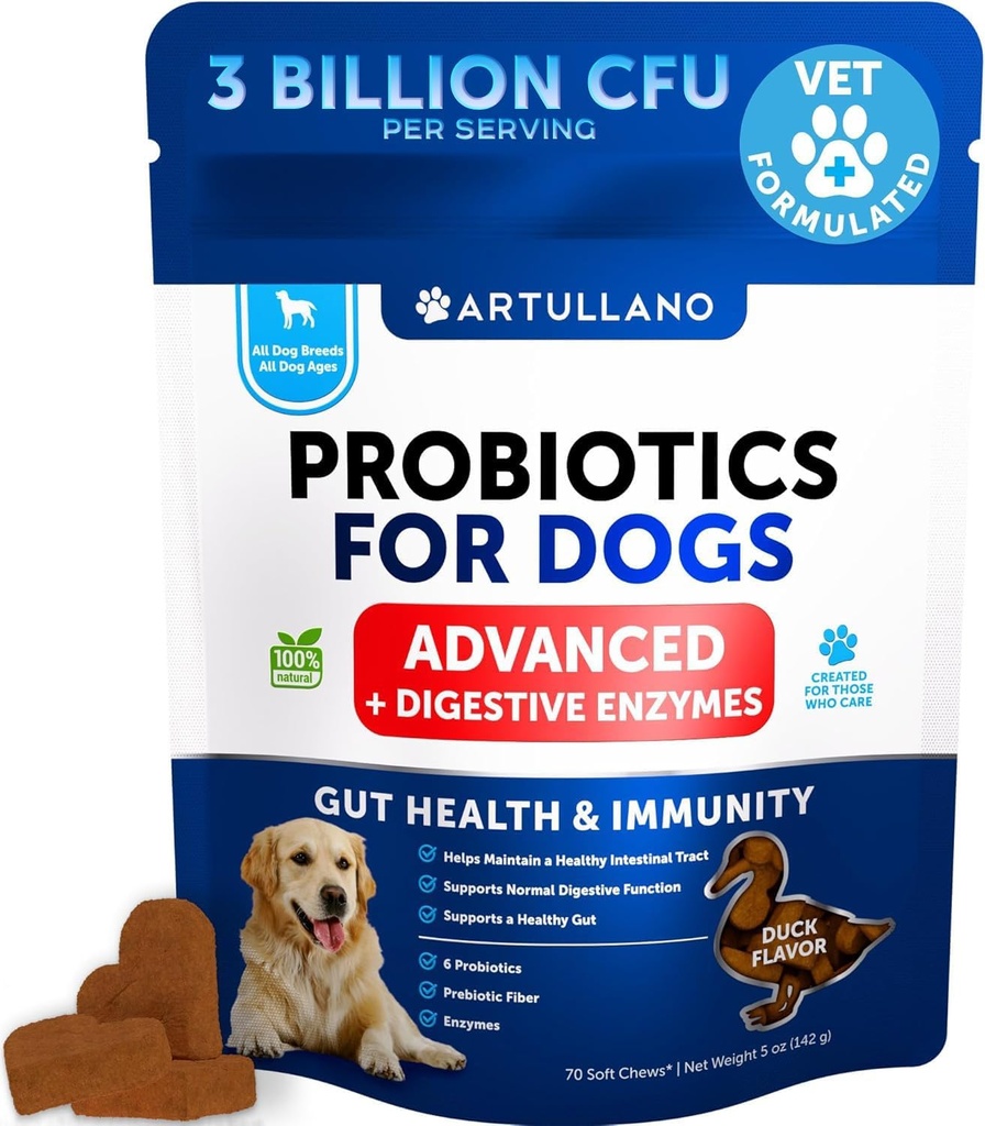 Probiotics for Dogs - Support Gut Health, Itchy Skin, Allergies, Immunity, Yeast Balance - כלב פרוביוטיקה ו-Azymes with Prebiotics - צמצום שלשמדה, גז - 70 צ'יפס פרוביוטי לכלבים