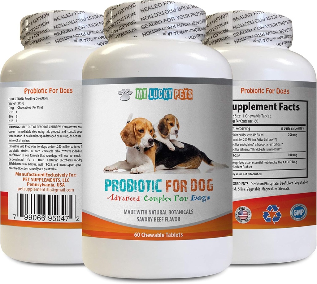 פרוביוטיקה לכלבים ללעוס - כלב ProBIOTICS - Bad Breath and Passing Gas Solution - Oral Health - Fos Formula - 1 בקבוק (60 טיפולים)