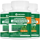 Liposomal Artemisin תוסף 1000mg, Sweet Wormwood לחלץ עם 200 מ"ג Quercetin Phytosome, מקסימום Absorption עבור Antioxidant 180 קפסולות