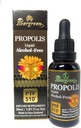 Evergreen Propolis נוזל אלכוהול חינם Tincture 30 מ"ל PTF1170 (Contains 1170 Propolis Flavonoid) Made בניו זילנד