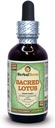 לוטוס (Nelumbo Nucifera) Glycerite, Dried Stamens אלכוהול-Free Liquid Extract (שםBrand: HerbalTerra, Proly Made in USA) 2 fl.oz (60 מ"ל)