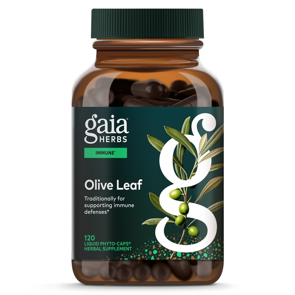 גאיה Herbs אוליב Leaf - מסורתי Immune בריאות תמיכה - Immune System תוסף עם אוליביפץ ו Oleuropein * - 120 טבעוני נוזלי Phyto-Caps (60 יום אספקה)