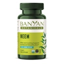 Banyan הבוטנים Neem Tablets - אורגני Neem Leaf (Azadirachta Indica) - תומך Detoxification טבעי, עור בריא ובריאות החיסון * - 90 טבליות - Non-GMO Sustainly Sourceed טבעוני טבעוני