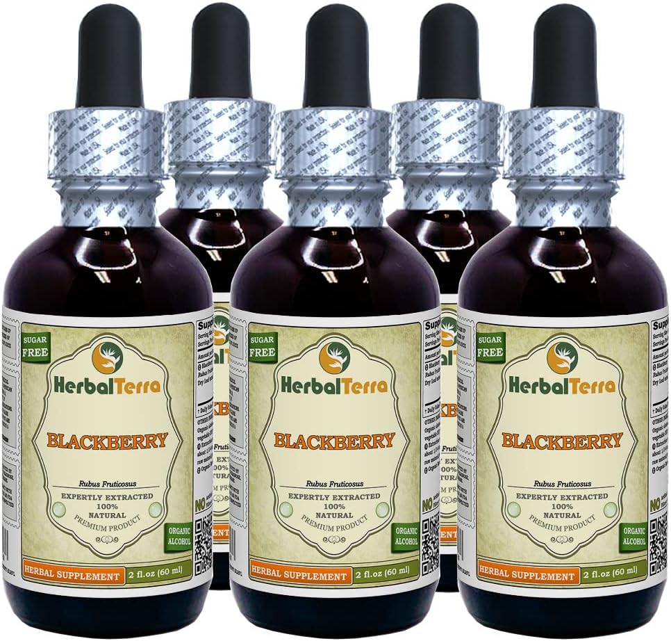 BlackBerry (Rubus frutcosus) Tincture, אורגני Dried Leaves Liquid Extractis (שם בדוי: HerbalTerra, Madely בארצות הברית) 5x2 fl.oz (5x60 מ"ל)