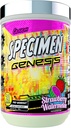 Specimen Full Spectrum High Stimulant Pre-Workout אבקה | Supercharged Energy & Pain Pumps + Focus & Hydration | Great Far-Out Flavors (Strawberry Watermelon V3)