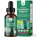טיהור לימפואטי אורגני מוסמך - Herbal Lymphatic ניקוי ו- Immune Support Supplement with Echinacea Goldenseal & Red Clover Extract - טבעוני non GMO אלכוהול וסוכר חינם - 30 משרתים