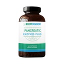 Rootcology על ידי ד"ר איזבלה Wentz | Pancreatic Enzymes Plus | Enteric Coated Lipase, Protease & Amylase Band with Bromelain | 90 קפסולות