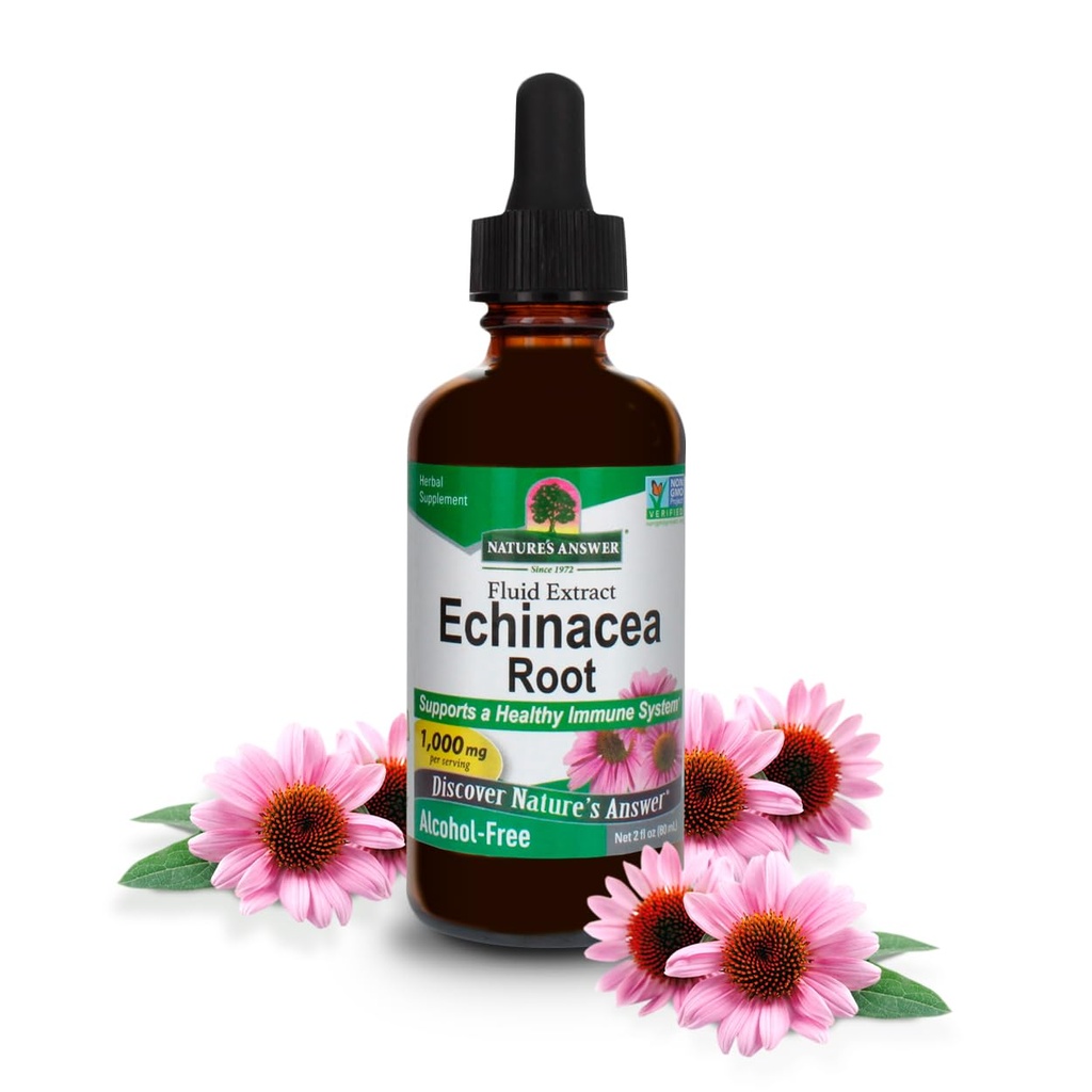 תשובתי של הטבע Echinacea | תמיכה במערכת חיסונית בריאה