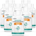 Orgabay Liposomal NAD+ תוספת של 500 מ"ג, High Absorption, Boost NAD+ עם TMG 250 מ"ג, Actual NAD Plus More Efficient Than Nicotinamide Riboside, תמיכה באנרגיה סלולרית, הזדקנות בריאה | 480 Softgels