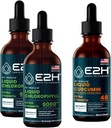 E2H: Chlorophyll נוזל טיפות (2 Pack - 4 Fl Oz) ו כורכום נוזלי Turmeric (Single Bottle - 2 Fl Oz)