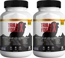 Tribal Force X תוספת כוח טבעי תוסף 60 טבליות, Gluten חינם, non-GMO, 30 יום אספקה (2)