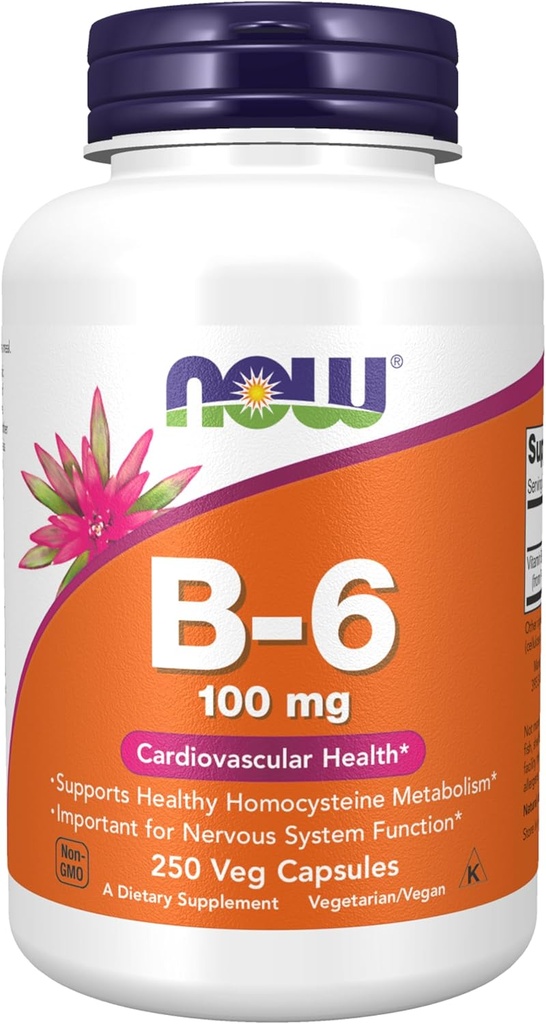 תוספי מזון עכשיו, ויטמין B-6 (Pyridoxine HCl) 100 מ"ג, Cardiovascular Health, 250 Veg כמוסות