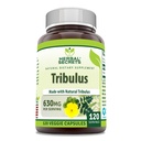 Herbal Secrets Tribulus 630 Mg 120 Veggie קפסולות תוספת | Non-GMO | Gluten Free | Made in USA