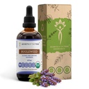 סודות של השבט בוגלאו של Tincture אלכוהול חינם לחלץ, USDA אורגני בוגדוד (Lycopus Virginicus) Dried Herb (4 FL OZ)