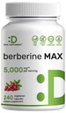 תוספת של Berberine Max עם Turmeric, 5,000 מ"ג פרי, 240 קפסולות Veggie - 97% טהור Berberine HCl - 20:1 תמצית שורש Turmeric - Vegetarian Friendly, non-GMO