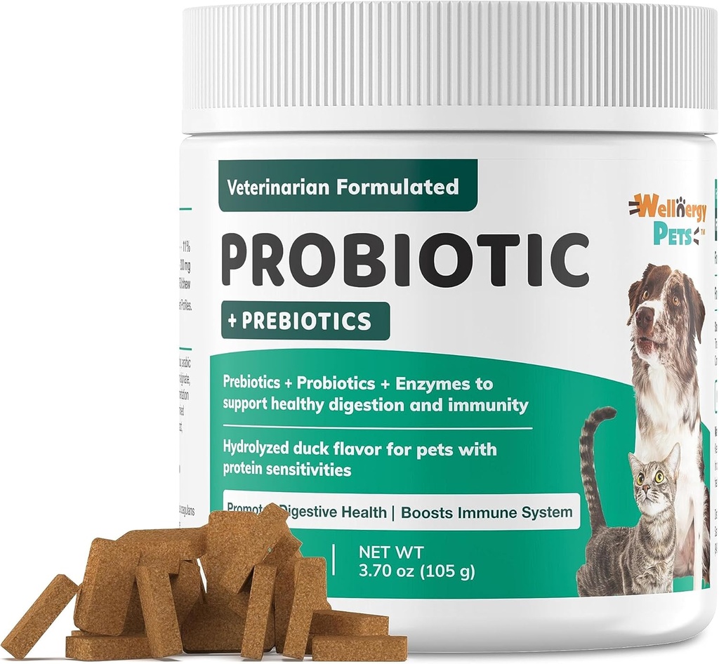 Wellnergy Daily Probiotic & Prebiotics Soft Chew for Dogs & Cats - תמיכה תזונתית עבור Diarrhea, Constipation, Upset Stomach, Indigestion & Gas - Helps Digest, Allergy & Immune בריאות 70ct 70ct