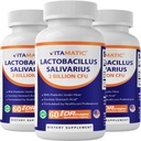 Vitamatic Lactobacillus Salivarius 2 מיליארד עבור קפסולת DR - 60 Count - תמיכה תזונתית - Made with Prebiotic Inulin סיבים (3 בקבוקים)