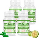 Natural and Pure Herbal Garcinia CAMBOGIA (Garcinia) לחלץ קפסולות | קיבולת גבוהה, 100% Herbal Product Pack של 60 X 500 מ"ג. Veg. קפסולות (Pack of 4 Jar)