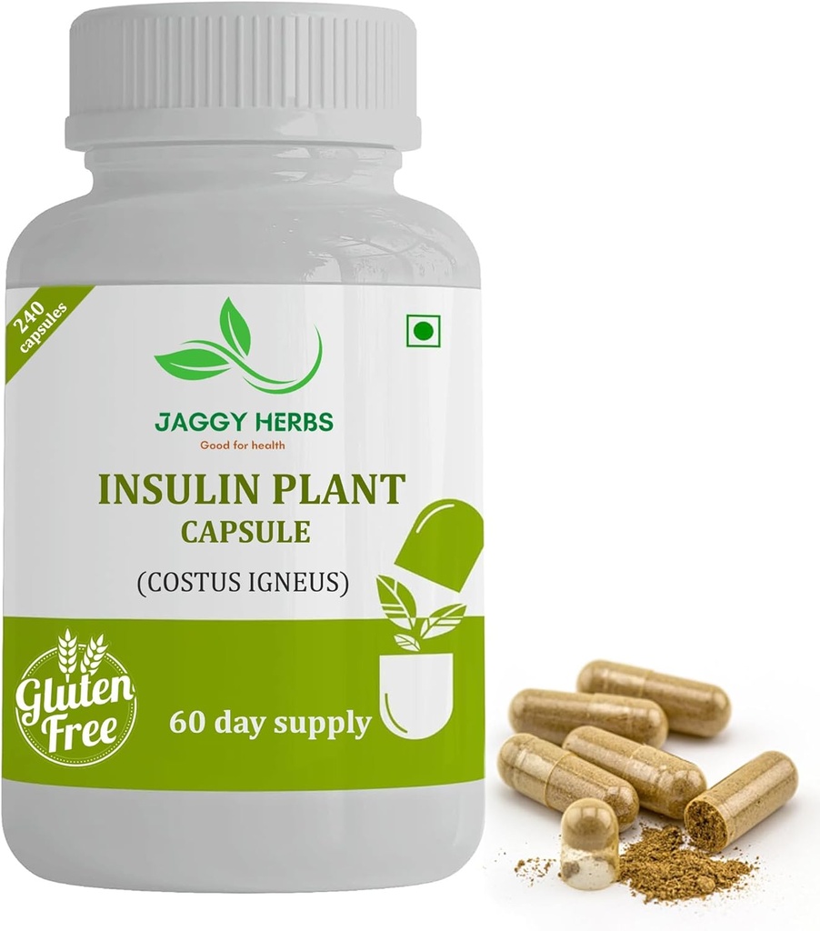 Generic JAGY Premium Insulin Plant כמוסות (Costus Igneus) תוסף טבעי 240 קפסולות Veggie (60 יום אספקה) Insulin Plant