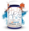 BaCognize Bacopa Monnieri קפסולות | 300 מ"ג | 240 Count | Ayurvedic Herb | Nootropic Brain Booster | Supports Stress Management