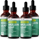 5in-1 מולליין טיפות עבור Lungs ו Bronchial - Respiratory Lung Health Support with Mullen Leaf Extract for Lungs - Mullein Tincture with Elderberry, Echinacea ושורש ג'ינג'ר (120 משרתים) (4-pack)