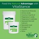 Stance Equitec VitaStance ויטמין, מינרלים ו Amino Acid תוספת עבור סוסים, 28.5 lb