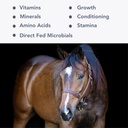 Mega-Mag (25lb) Balanced Multi ויטמין/Mineral Supplement for Alfalfa Hay Diets