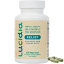 לוסיה Quercetin עם NAC, Bromelain, Reishi & Sting Nettle - Immune Support & Seasonal Wellness - מתרגל פורמולה, תוספת לא-Drowsy, 60 קפסולות