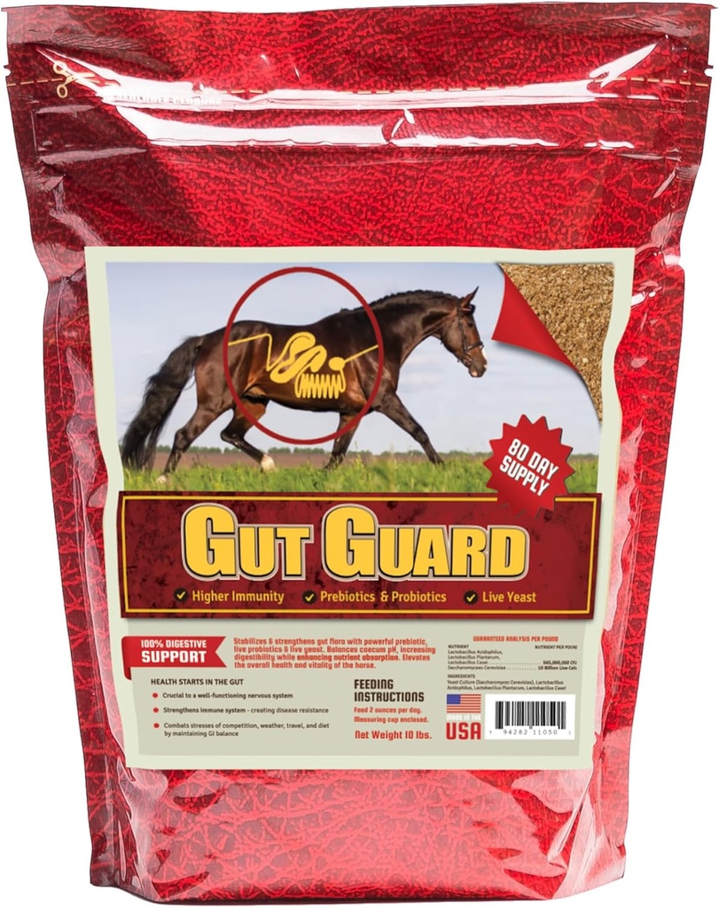 Equine Gut 10 lb, Probiotic and Prebiotic Horse תוספת עבור Gut Health