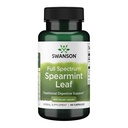 Swanson Spearmint Leaf (Mentha Spicata) - תוסף מלוא Spectrum Herbal התומכים בבריאות העיכול ובבעיות מילד Stomach - פורמולה טבעית התומכים בבריאות ובבריאות - (60 קפסולות, 400 מ"ג כל)
