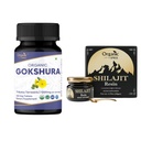 OrganIC SPREE Gokshura & ההימלאיה Shilajit - USDA אורגני Tribulus Terrestris 120 טבליות & 20g Resin עם 85+ Trace מינרלים - תומך אנרגיה & Immune בריאות *