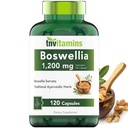 tnvitamins Boswellia לחלץ קפסולות, 120 ספירה | 1,200 מ"ג פר קפסולה | 65% Bswellic Acids + 10:1 ריכוזי הפקה | Boswellia Serra | Joint & Mobility Support*