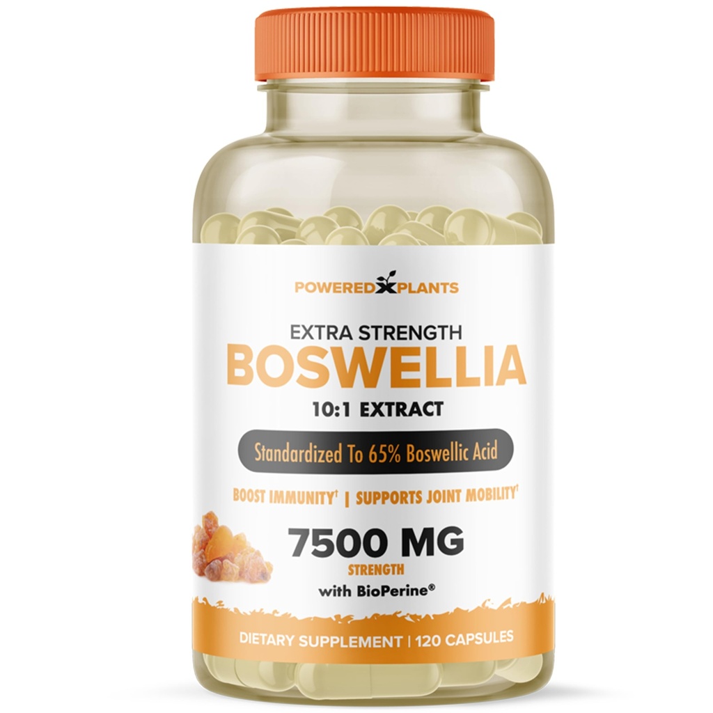 Boswellia Serrata לחלץ תוספת תמיכה משותפת על ידי צמחים - 65% High Potency Boswellic Acids עם bioPerine - תמיכה אימונומיות, ניידות וגמישות - 120 קפסולות טבעוניות