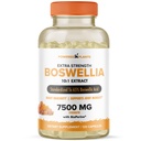 Boswellia Serrata לחלץ תוספת תמיכה משותפת על ידי צמחים - 65% High Potency Boswellic Acids עם bioPerine - תמיכה אימונומיות, ניידות וגמישות - 120 קפסולות טבעוניות
