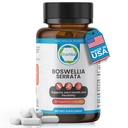 Boswellia Serrata 600mg 65 Boswellic Acid לחלץ תמיכה נוחות משותפת, גמישות וניידות טבעי צמחי בריאות תוספת טבעוני, non-GMO, Gluten-Free 90 Veg כמוסות.