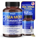 Sotalix Sea Moss כמוסות עם Ashwgandha, Burdock Root, Bladderwrack, Turmeric - Powerful Natural Immunity Booster - ארצות הברית Made (150 (Pack of 1))