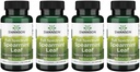 Swanson Spearmint Leaf (Mentha Spicata)-Full Spectrum Herbal תוסף תומך בבריאות העיכול ' &' Mild Stomach בעיות - (60 קפסולות, 400 מ"ג כל) 4 Pack