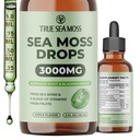 TrueSeaMos 3000 מ"ג אירי הים Mos טיפות עם Burdock Root & Bladderwrack עבור מערכת העיכול & שריר התאוששות תמיכה - 2 Fl Oz Apple NW1