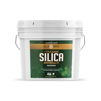 Volcanic Silica מינרלים Micronized- 10 lbs