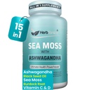 Herbtonics Sea Moss, Black Seed Oil, Ashwagandha, Burdock Root & ACV Complex | Boost Immunity, Stress, Supportion | All-in-One SeaMos כמוסות