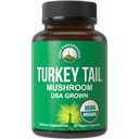 Peak Performance Organic Turkey Tail כמוסות - ארה"ב Grown Made with Real Turkey Tail Mushroom מערכת החיסון תומכת באופן טבעי תוספי Mushroom עבור חסינות. תוספת טבעונית