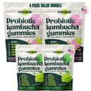 BoochBod - Probiotic Kombucha Gummy - Prebiotics, Probiotics, Postbiotics, Fiber Supplement, Slippery Elm, Dandelion Root, for Bloating, Gut Health - for Women and Men - 4X Bundle & Save